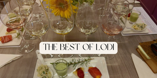 Top 5 Wineries to Visit in Lodi California